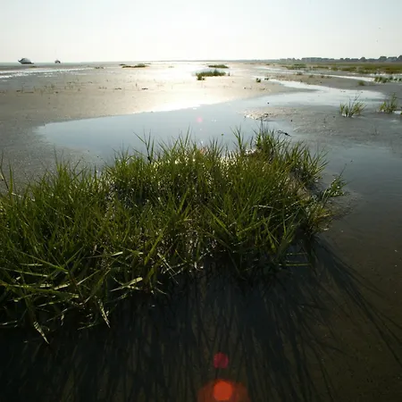 Semesterbostad Reethuus Nord