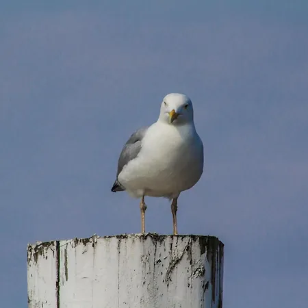 Reethuus Nord Semesterbostad *