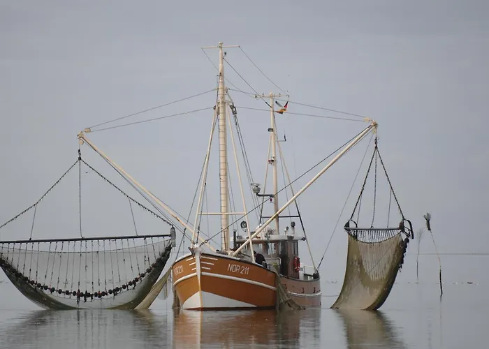 Reethuus Nord 別荘 ユイスト