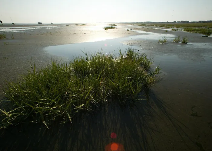 別荘 Reethuus Nord